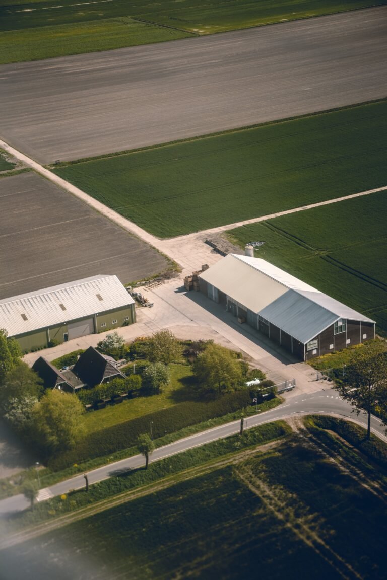Country farm