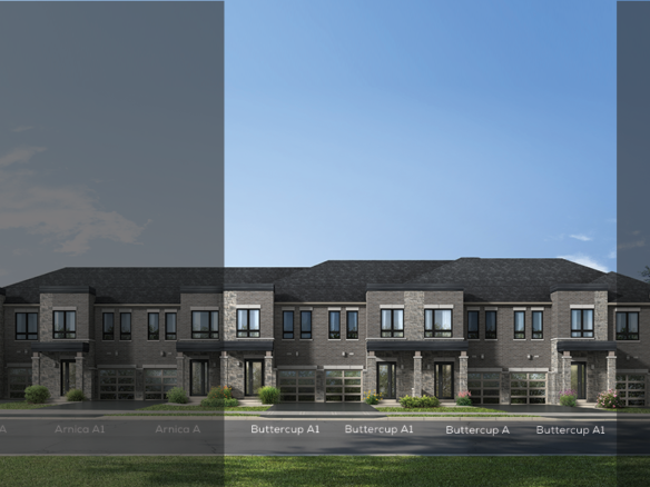 A modern row of two-story brick townhouses with dark roofs, large windows, and garage doors. The front lawn is well-kept. Sections of the image are labeled and shaded with names: Hydrangea A, Arnica A, Buttercup A1, and Iris A. These new condos in GTA boast a clear, blue sky backdrop.