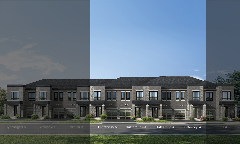 A modern row of two-story brick townhouses with dark roofs, large windows, and garage doors. The front lawn is well-kept. Sections of the image are labeled and shaded with names: Hydrangea A, Arnica A, Buttercup A1, and Iris A. These new condos in GTA boast a clear, blue sky backdrop. A modern row of two-story brick townhouses with dark roofs, large windows, and garage doors. The front lawn is well-kept. Sections of the image are labeled and shaded with names: Hydrangea A, Arnica A, Buttercup A1, and Iris A. These new condos in GTA boast a clear, blue sky backdrop.