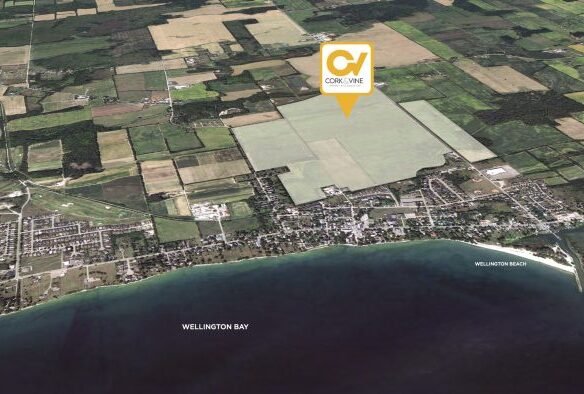 Aerial view of a landscape featuring Wellington Bay along the bottom edge, adjacent to a small town with houses and streets. Surrounding the town are large, patchwork farmlands with a marker labeled "CORVIVE" pointing to pre-construction homes in the fields.