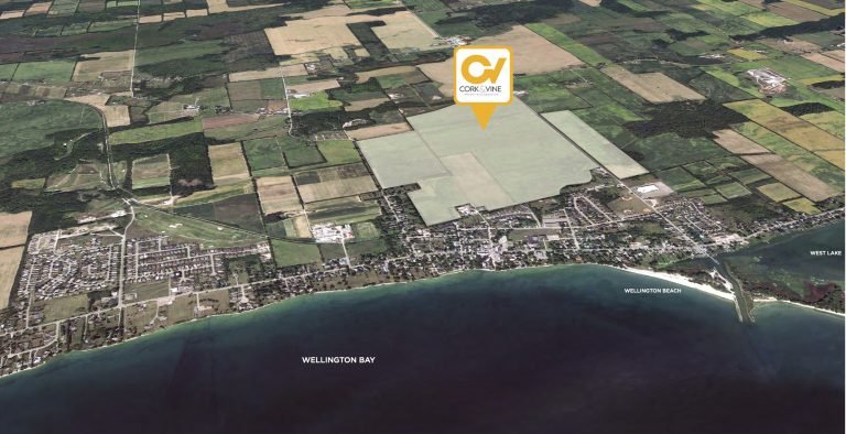 Aerial view of a landscape featuring Wellington Bay along the bottom edge, adjacent to a small town with houses and streets. Surrounding the town are large, patchwork farmlands with a marker labeled "CORVIVE" pointing to pre-construction homes in the fields.