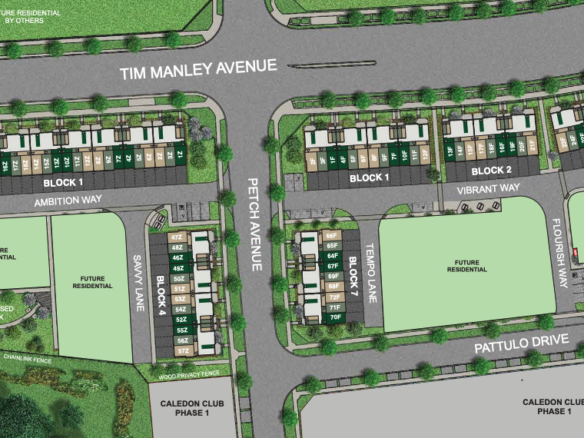 The site plan showcases a residential development featuring blocks of townhouses along Tim Manley Avenue, Petch Avenue, and Pattulo Drive. It includes pre-construction homes, future residential areas, a proposed park, open spaces, and street names like Ambition Way and Vibrant Way.