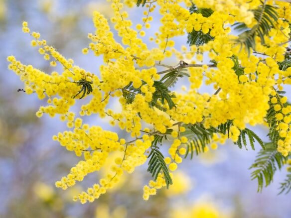 3 Ways to Stand Out in the Spring Market