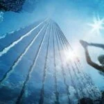 Freed Hotel and Residences