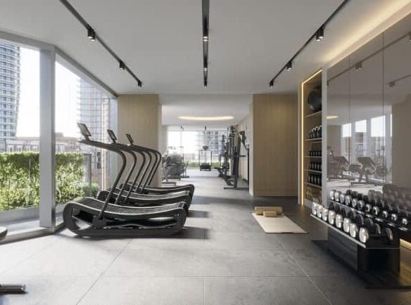 Located in the Freed Hotel, the modern gym boasts large windows with stunning city views. The room features several treadmills, dumbbells on a rack, and various exercise machines. Ample natural light floods the space, highlighting the sleek, minimalist design and green plants by the windows.