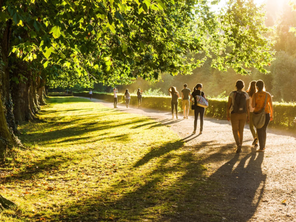 People strolling along a sunlit, tree-lined path in Upper Mayfield Estates enjoy the long shadows cast by trees and walkers. The serene, inviting atmosphere is enhanced by the warm glow of the setting sun.
