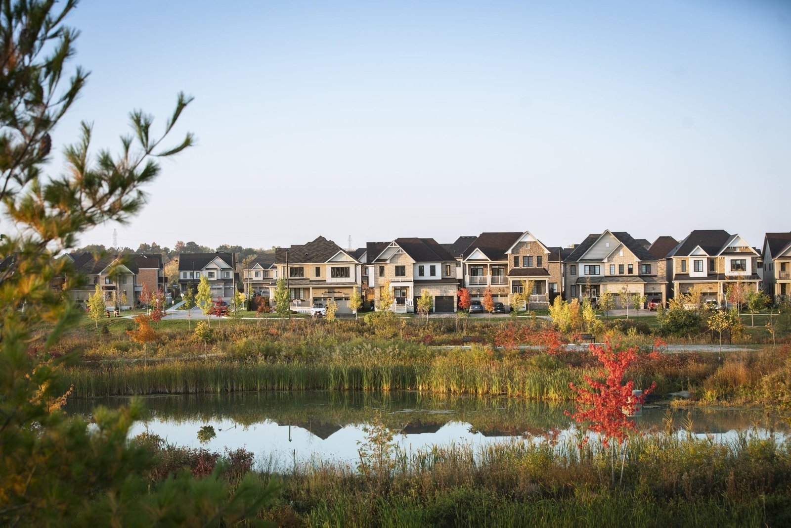 Scenic community pond and protected natural wetlands at Empire Avalon