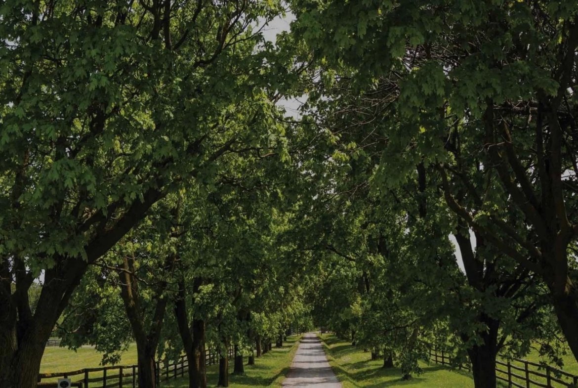 The Valleys of Thornhill Townhomes | 2-Car Garage Luxury Towns | VIP Pricing & Floor Plans