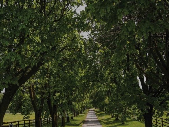 The Valleys of Thornhill Townhomes | 2-Car Garage Luxury Towns | VIP Pricing & Floor Plans