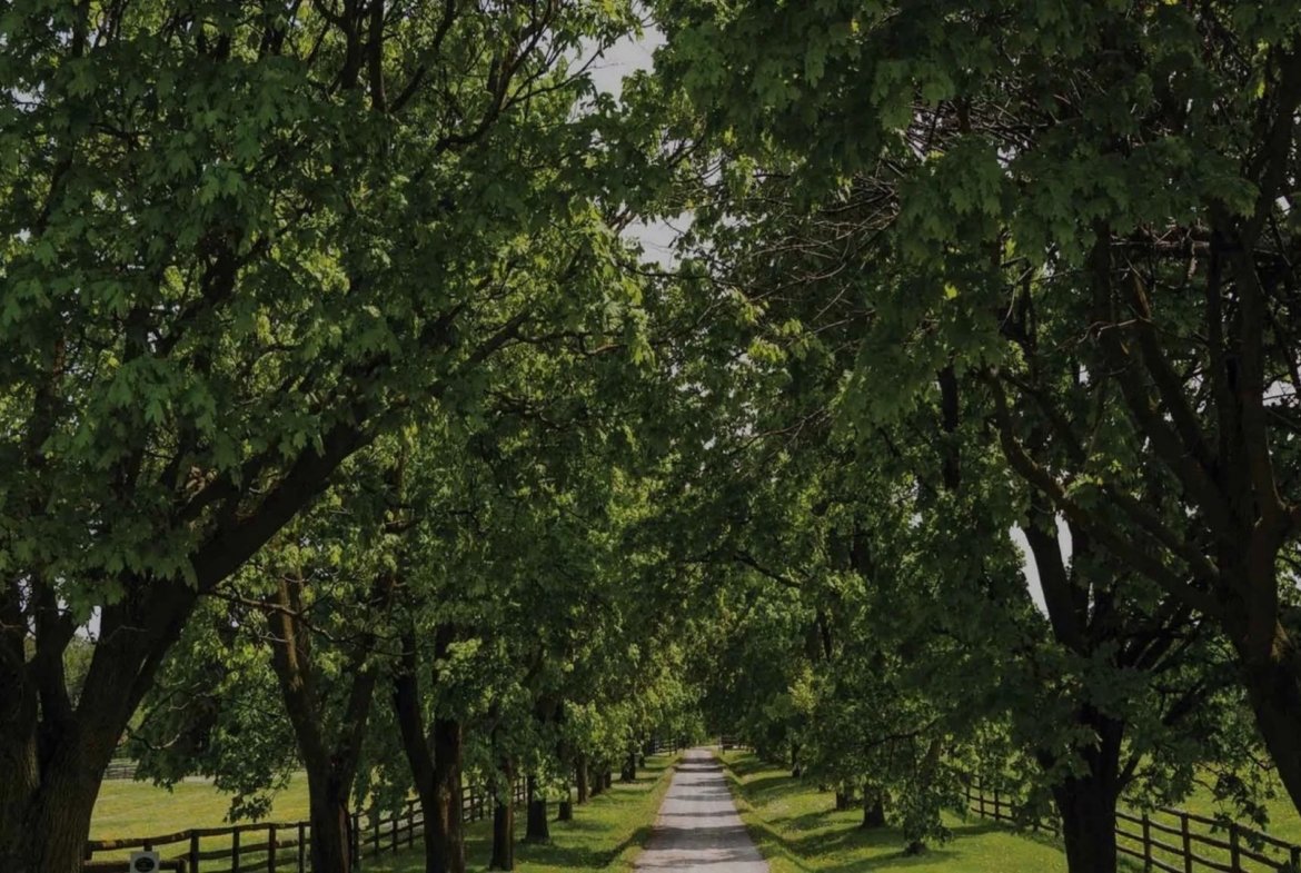 The Valleys of Thornhill Townhomes | 2-Car Garage Luxury Towns | VIP Pricing & Floor Plans