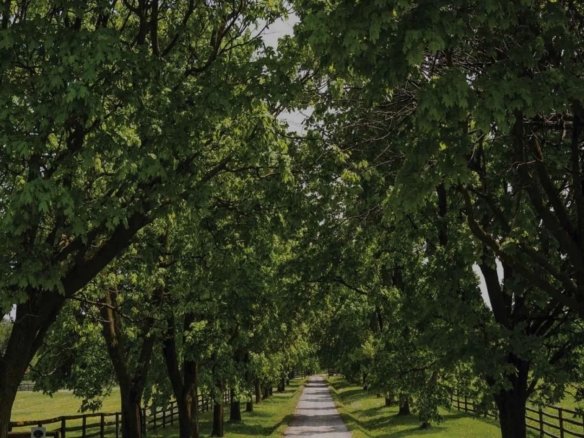 The Valleys of Thornhill Townhomes | 2-Car Garage Luxury Towns | VIP Pricing & Floor Plans